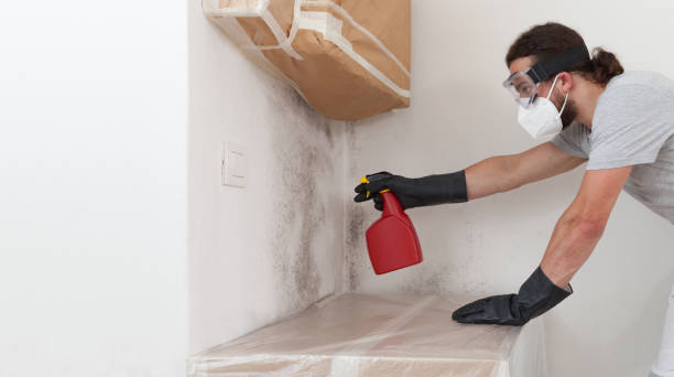 Professional Mold Removal technician working in Cordova, NC