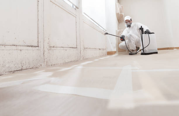 24/7 Emergency Mold Removal experts in Cordova, NC