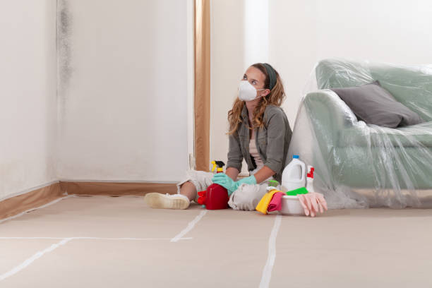 Reliable Mold Cleanup contractor in Cordova, NC by Cheap Mold Removal